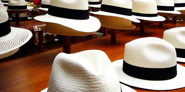 Cappelli di Panama Fotografia di cappelli di Panama in paglia toquilla perfettamente puliti in vetrina