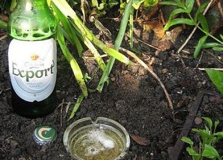 Birra in ciotola di vetro