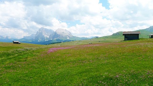 Prato dell'Alpe di Siusi