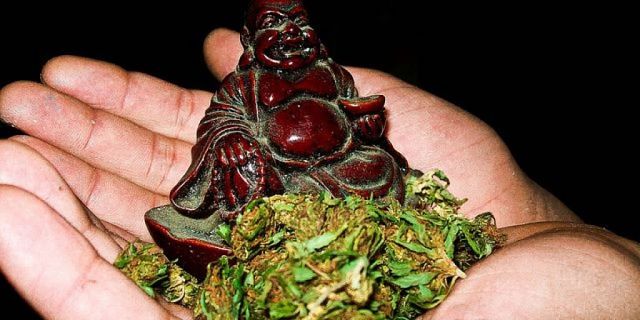 Le erbe salutari devono essere essiccate bene Erbe salutari essiccate nella mano