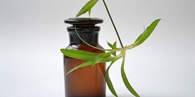 Tintura madre di pianta curativa in bottiglietta di vetro scuro