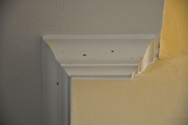 Macchie di muffa in ambiente interno di una casa