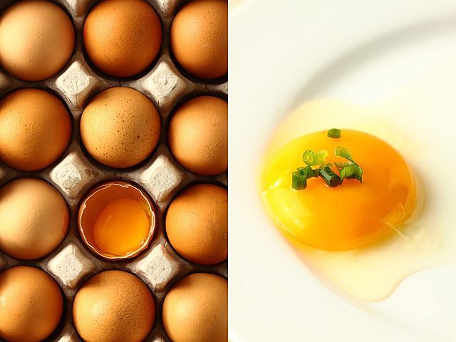 Le uova lasciano cattivo odore sul piatto Uovo crudo su piatto e uova nel guscio