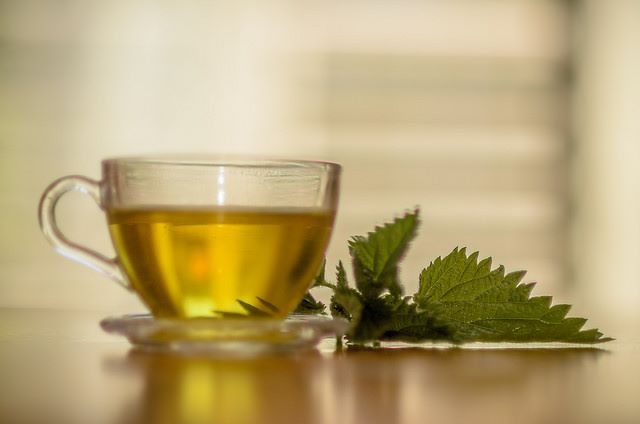 L'infuso di ortica fa bene ai capelli e all'intero organismo Applicare l'infuso di ortica sul cuoio capelluto rinforza i capelli