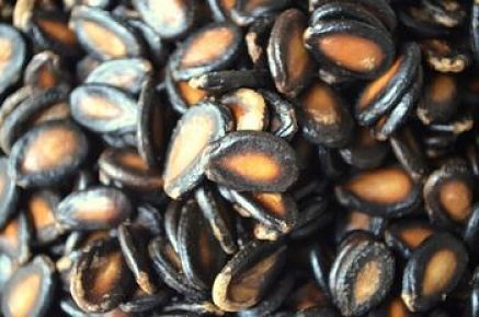 Semi di anguria essiccati e tostati