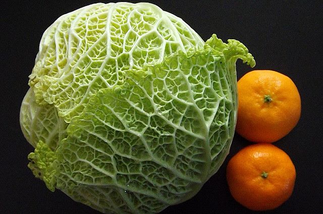 Frutta e verdure aiutano il cervello a mantenersi in forma Cavoli e agrumi sono alimenti benefici per il cervello