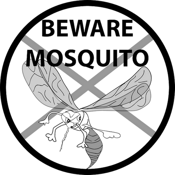 Stare in guardia dalle punture di zanzara per evitarle