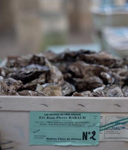 Cassetta di ostriche con certificato di provenienza