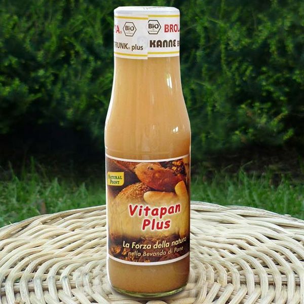 Bevanda di frumento e cereali fermentati