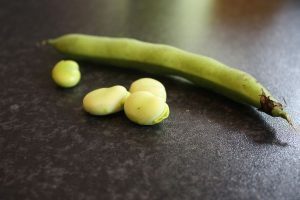 Come deve essere una fava buona da mangiare