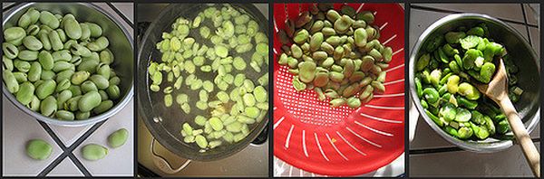 Come scottare le fave in acqua bollente