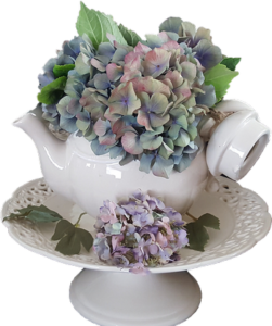 Ortensie essiccate con silice colloidale in alzatina e vaso di ceramica bianca