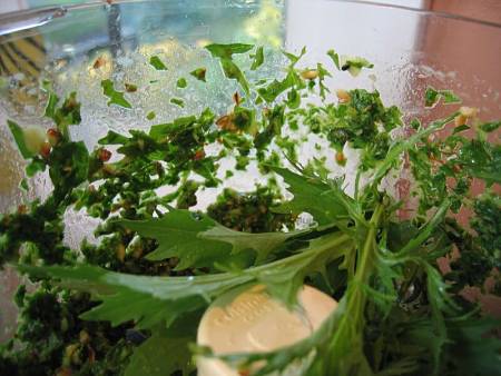 Preparazione del pesto di rucola nel mixer