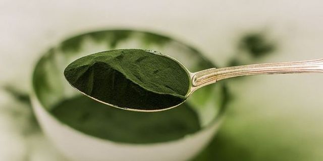 Benefica alga Clorella in polvere per uso interno alimentare