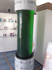 Fotobioreattore per la produzione di alghe del Parco Castiglione