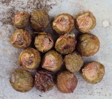 Noci del sapone ideali per il lavaggio di tessuti delicati