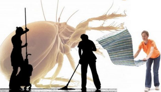 Igienizzare il pavimento e eliminare la polvere dai tappeti tendono lontani gli acari della polvere dalla casa