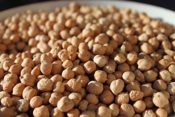 Ceci nostrani di Cicerale