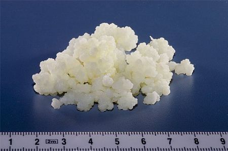 Dimensione dei granuli di kefir