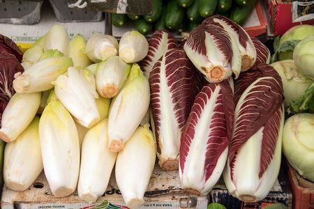 Cespi di insalata belga e di radicchio rosso
