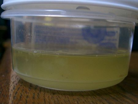 L'albume va conservato in un recipente chiuso ermeticamente per poco tempo