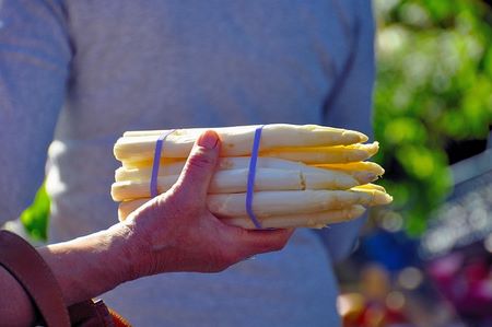 Mazzo di pregiati asparagi bianchi di Bassano del Grappa