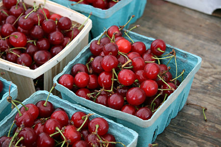 Amarene integre e fresche adatte ad essere conservate intere