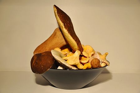 Funghi porcini, finferli e colombine