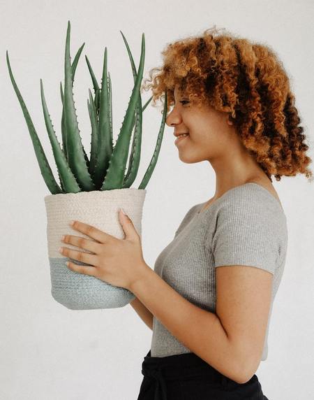 Donna tiene tra le mani una pianta di aloe in vaso