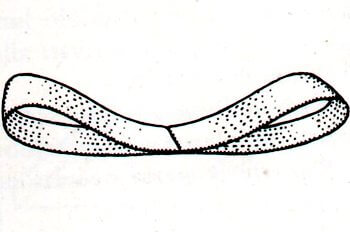 Immagine illustrativa della prima fase della preparazione del fiocco a rosetta