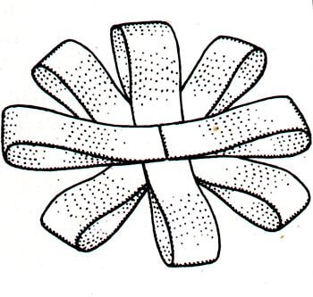 Immagine illustrativa della seconda fase della preparazione del fiocco a rosetta