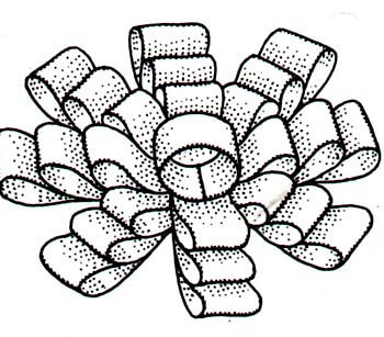 Immagine dell'assemblaggio finale del fiocco a rosetta