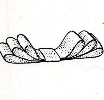 Immagine illustrativa della seconda fase preparazione del fiocco da sarto