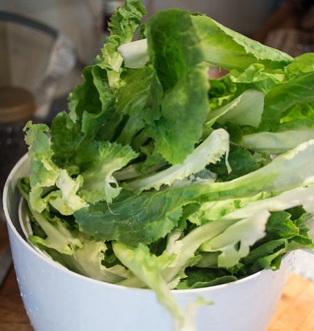 Scarola liscia già pulita e lavata