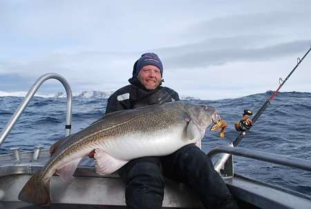 Merluzzo Gadus morhua appena pescato