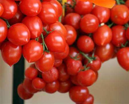 Aspetto dei pomodorini del Piennolo a grappolo