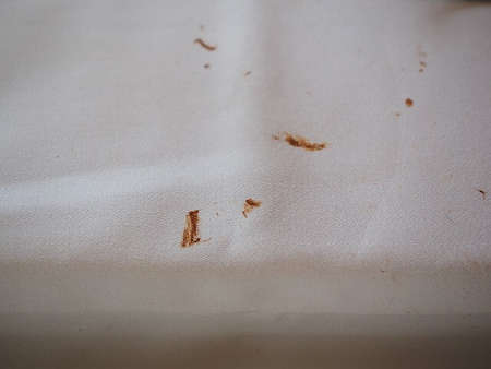 Macchie di cioccolato ormai secchee su tessuto bianco
