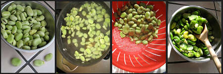 a immagini di fave con pellicina, sbollentate, scolate e spellate