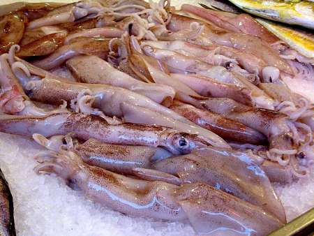 Calamari e totani freschi sul ghiaccio