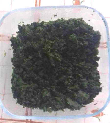 Ortica sbollentata e tritata in contenitore di vetro