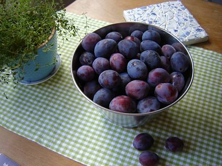 Prugne viola fresche