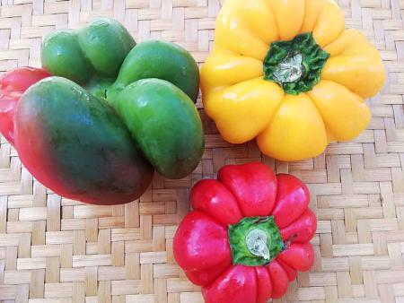 Papaccelle di 3 colori differenti su vassoio di paglia