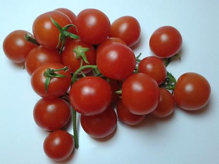 Grappolo di pomodorini Pachino maturi e sodi
