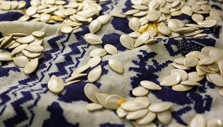 Semi di zucca messi ad asciugare su panno pulito