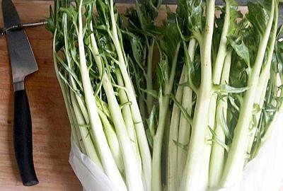 Cicorie catalogna da puntarelle freschissime