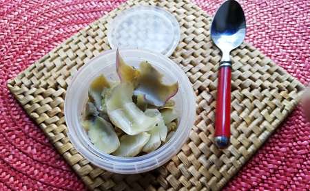 Polpa ricavata da foglie esterne dei carciofi in contenitore ermetico