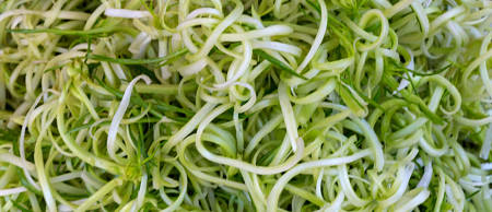 Aspetto delle puntarelle tagliate a filetti