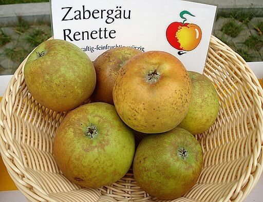 Aspetto delle mele renette