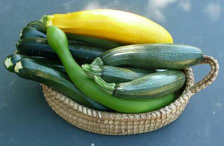 Cestino con dentro zucchine fresce e sode di varietà diverse