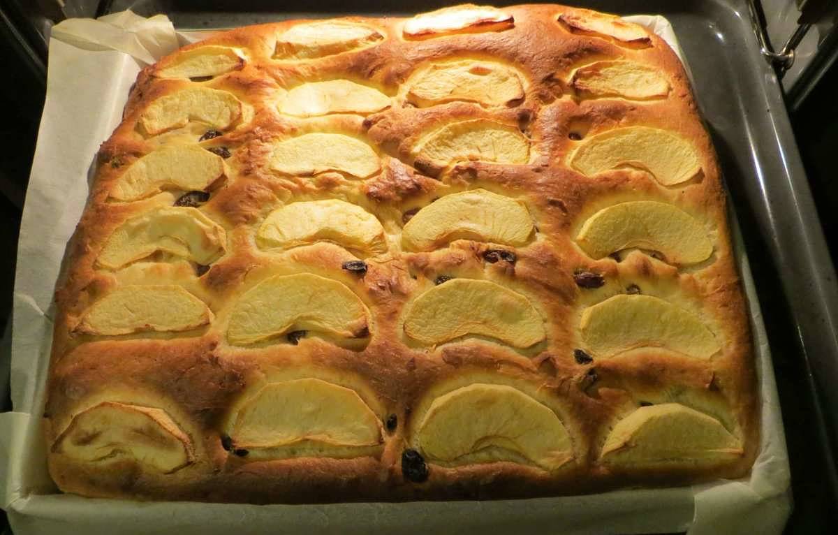 Focaccia con le mele appena uscita dal forno Focaccia di mele genovese cotta bene